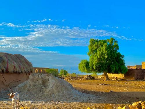 Moon Hostel Jaisalmer