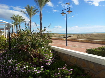 Hotel Bodeg�n