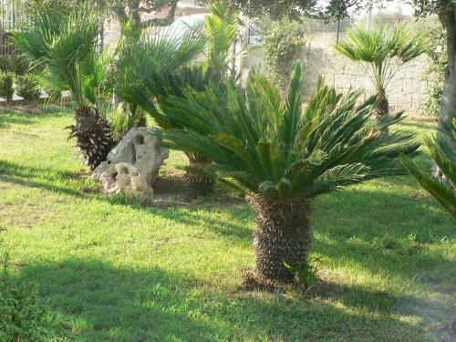 B&B Villa Francesco