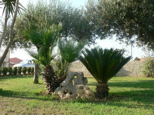 B&B Villa Francesco