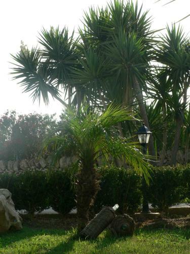 B&B Villa Francesco