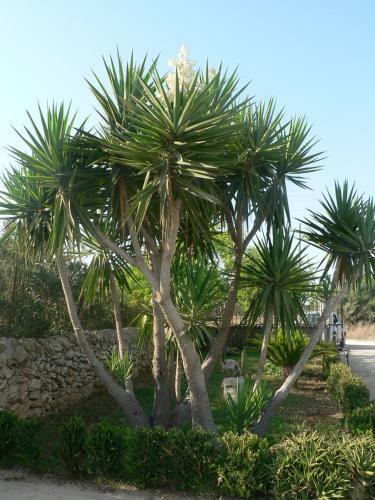 B&B Villa Francesco