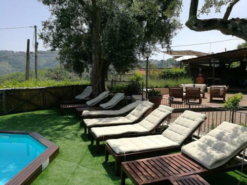 Bed & Breakfast Casa Gaia Sorrento Bio Vacanze