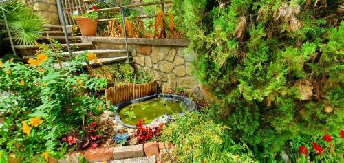 Bed & Breakfast Casa Gaia Sorrento Bio Vacanze