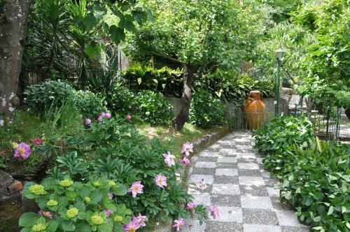Bed & Breakfast Casa Gaia Sorrento Bio Vacanze