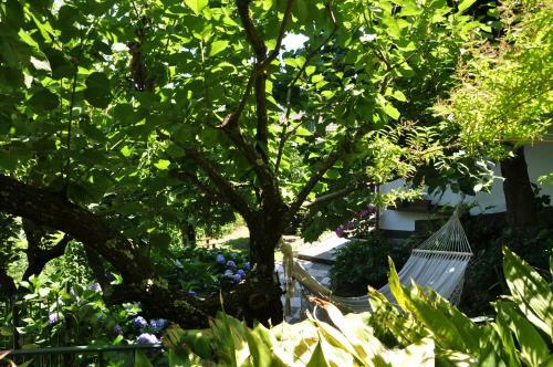 Bed & Breakfast Casa Gaia Sorrento Bio Vacanze