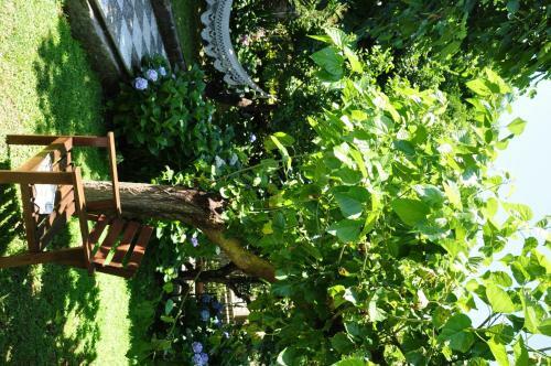 Bed & Breakfast Casa Gaia Sorrento Bio Vacanze