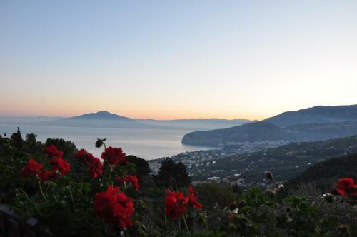 Bed & Breakfast Casa Gaia Sorrento Bio Vacanze