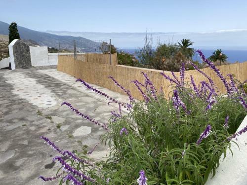 Apartamento Casa El Drago
