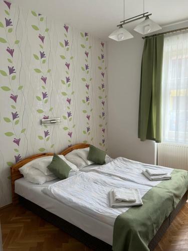 Hostal Vaskapu Fogad�