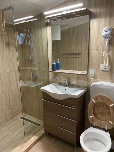 Hostal Casa Paraschiva