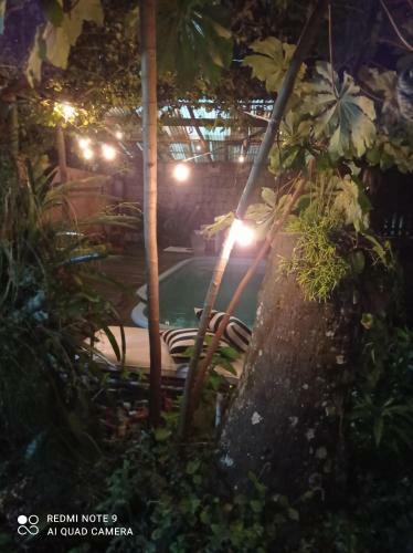 Posada Guest House Cocaia