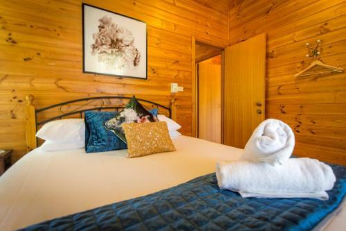 Silky Oak Cottage & Studio