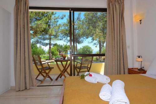 Apartamento Alexandra Studio 3