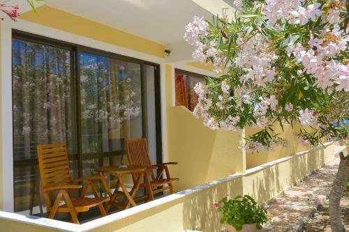 Apartamento Alexandra Studio 5