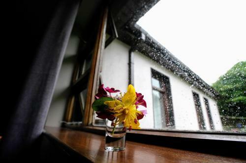 Abbey View Bed & Breakfast