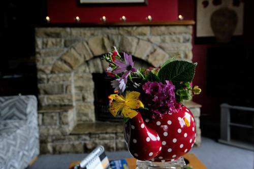 Abbey View Bed & Breakfast