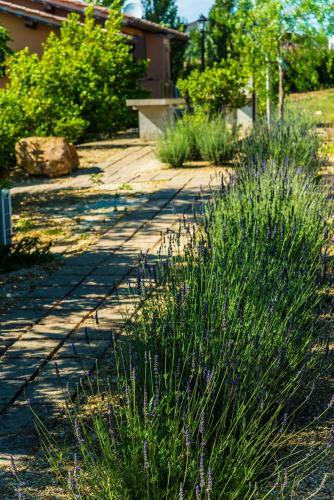 Agroturismo Agriturismo Poggio Di Maremma