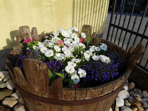 Bed & Breakfast Albergo Riviera