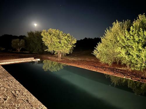 Villa Trullidamare A Ceglie Messapica, Con Piscina