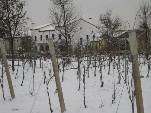 Villa Gaudio