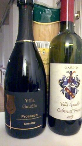 Villa Gaudio