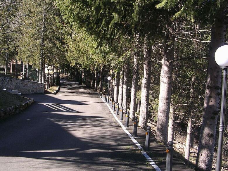 Hotel Orso Bianco