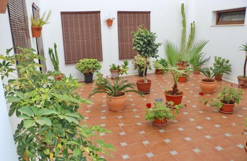 Apartamento Mu�oz Seca