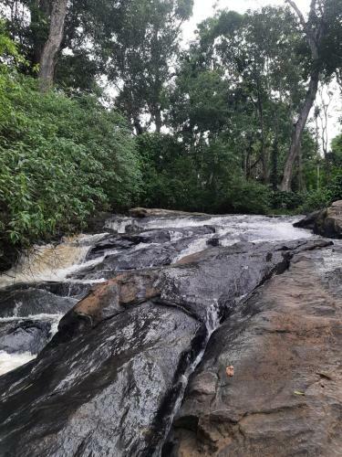Prakash Nature Nest