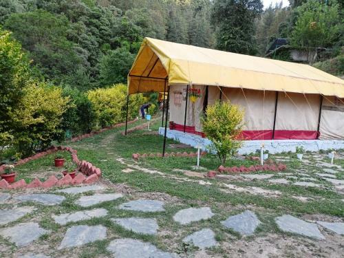 Shimla Camping