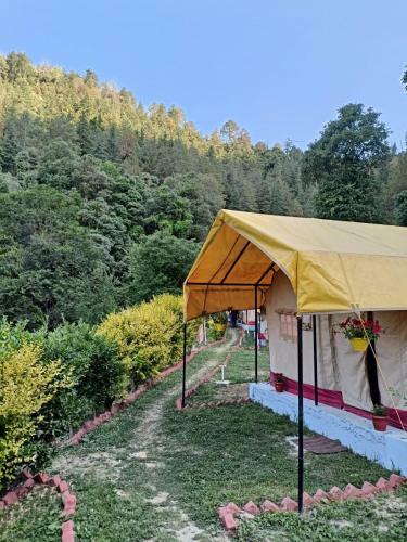 Shimla Camping