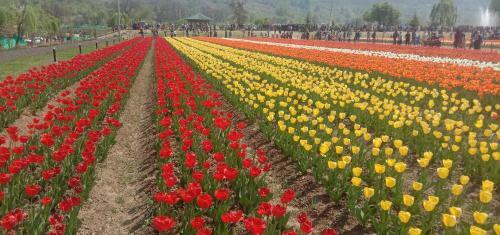 Hotel Sea Face