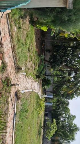 Hostal Rose Garden