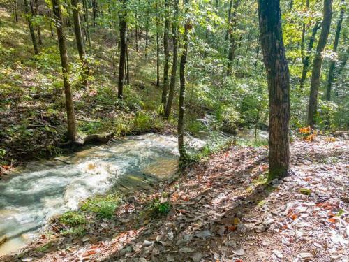 Villa Cozy Creekside Log Cabin W Firepit, Hot Tub, Wifi