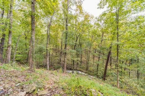 Villa Cozy Creekside Log Cabin W Firepit, Hot Tub, Wifi