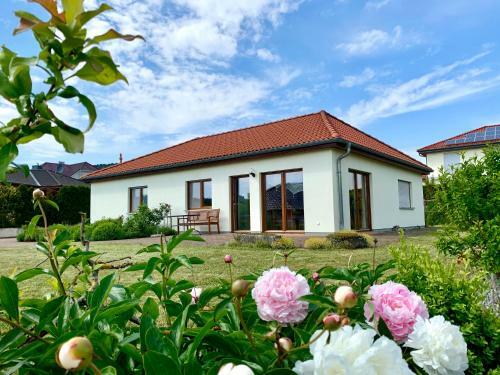 Ferienhaus Rh�npark