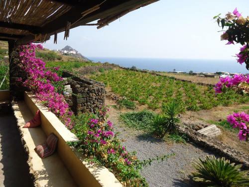 Agriturismo Zibibbodoro