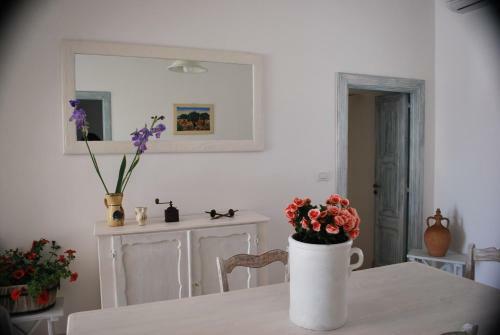 Bed & Breakfast La Vitosa