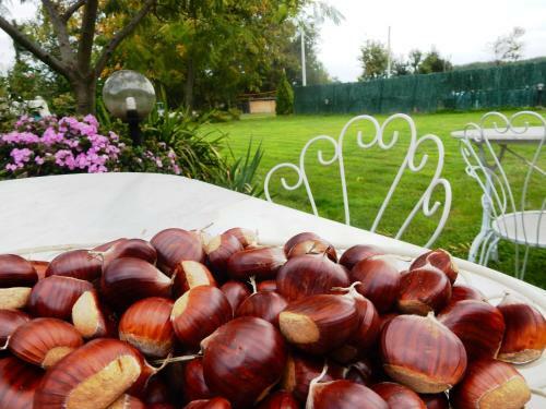 Bed&breakfast La Siepe