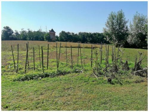 Hostal Chambre Du Pigeonnier Avec Acc�s Piscine !