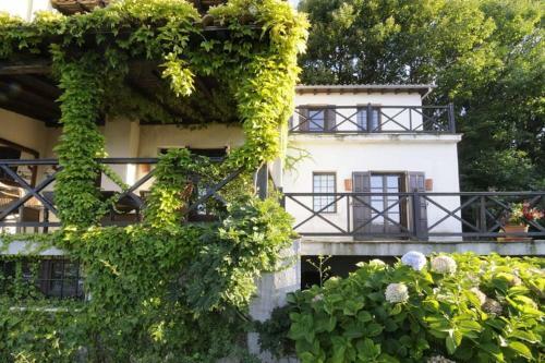 Villa Bird's Eye-view