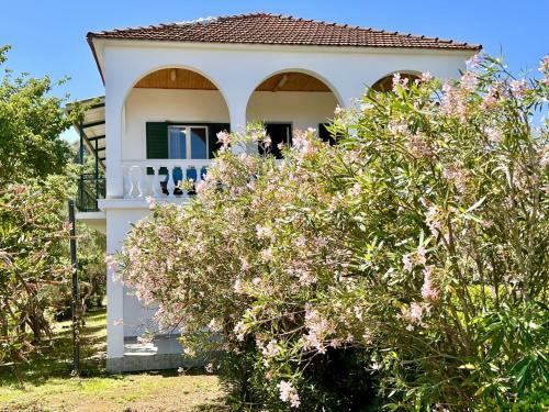 Villa Astra Beach House