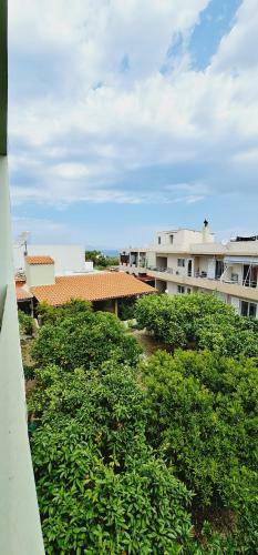 Apartamento Green Sunshine