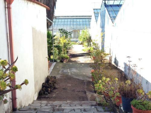 Apartamentos Vesuvio