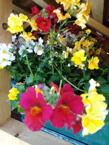 Bed And Breakfast Ai Sassi