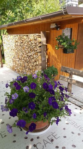 Bed And Breakfast Ai Sassi