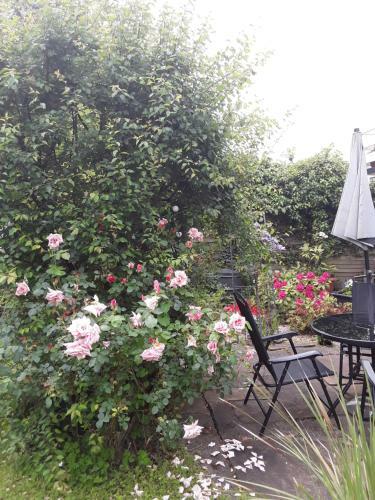 Bed & Breakfast The Townhouse Accommodation