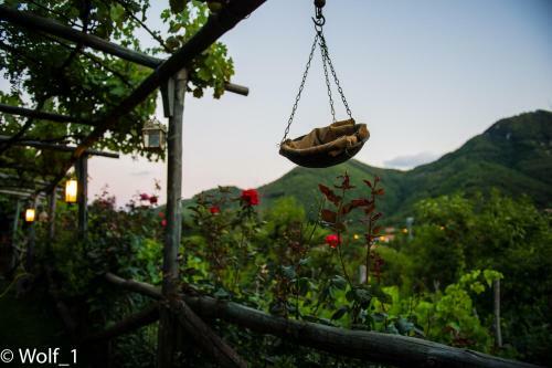 B&B Il Tintore
