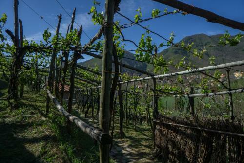B&B Il Tintore