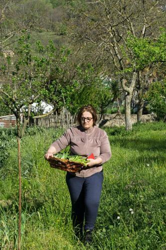 B&B Il Tintore